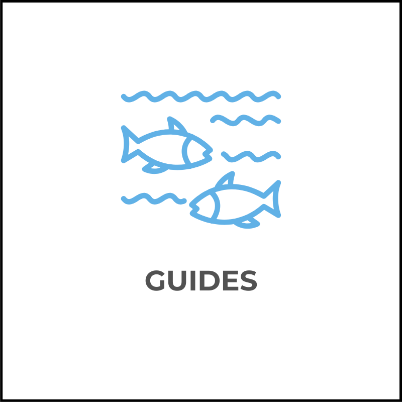 guides
